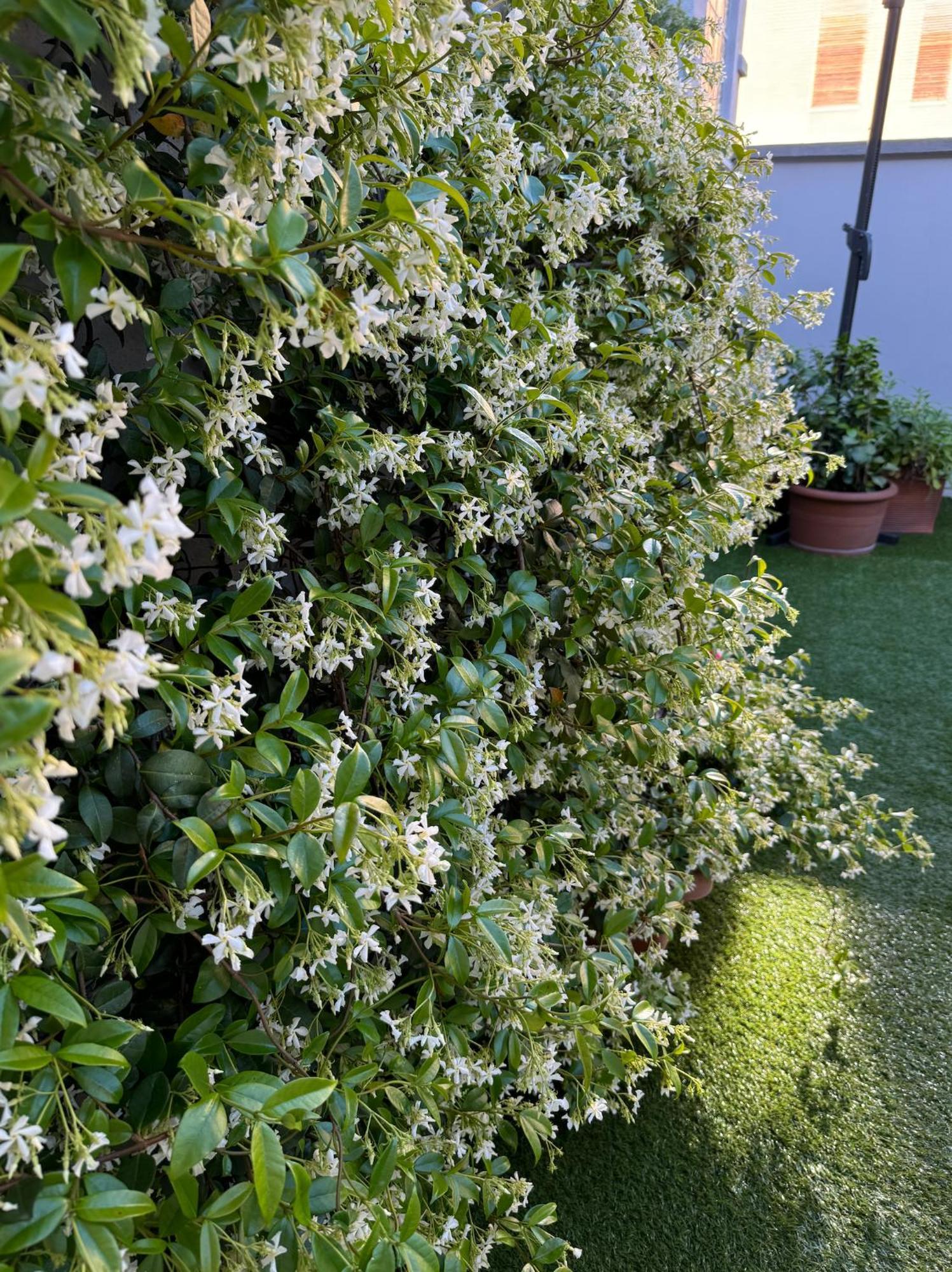 Varese Apartment Exterior foto